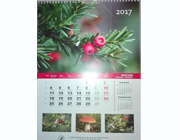 kalendarze wielostronnicowe